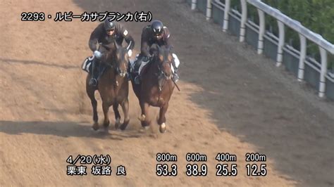 福島牝馬ステークス2022 動画